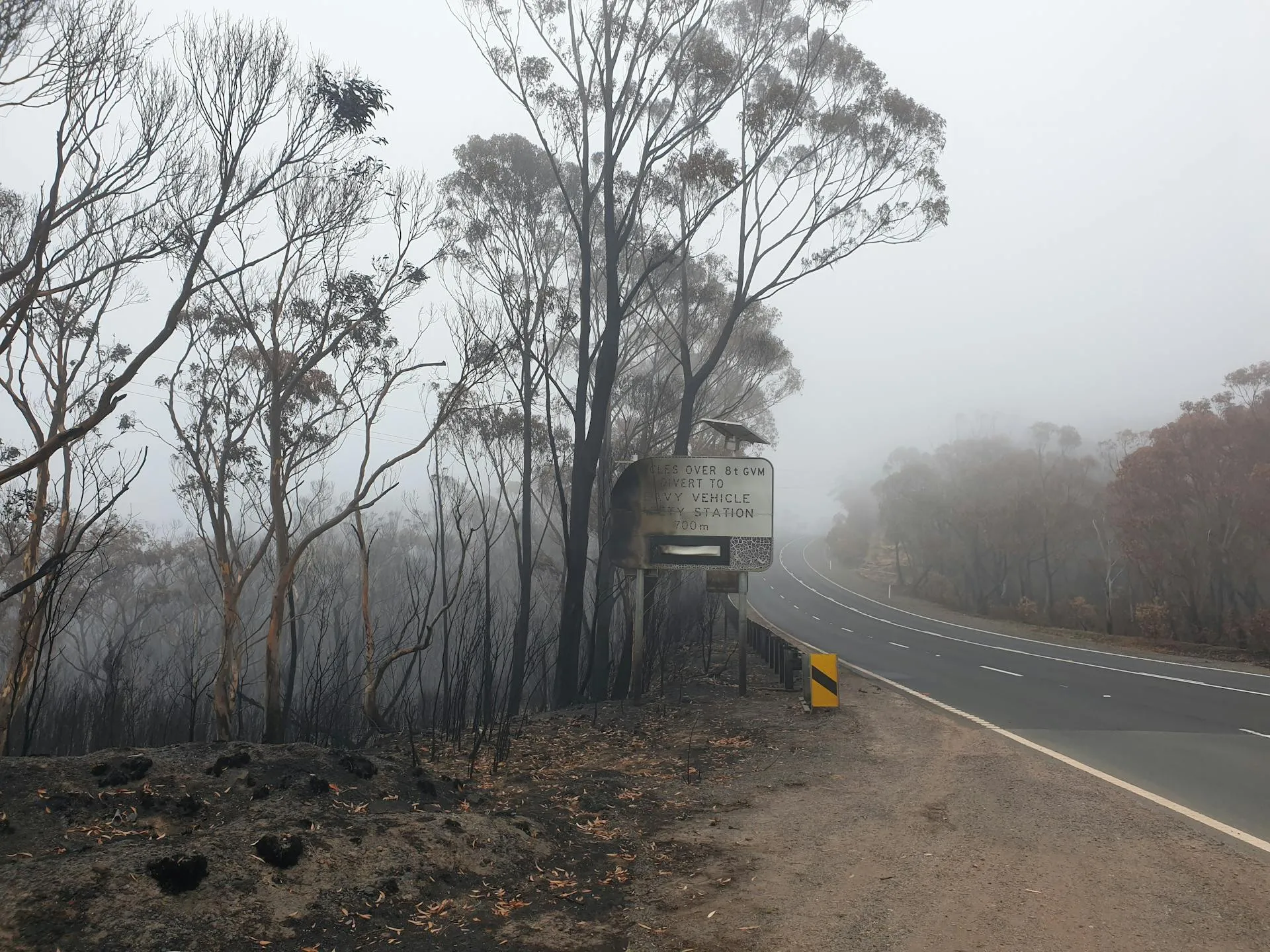 Adelaide Hills property with maintained 20 metre perimeter clearance around dwelling and large eucalypts beyond